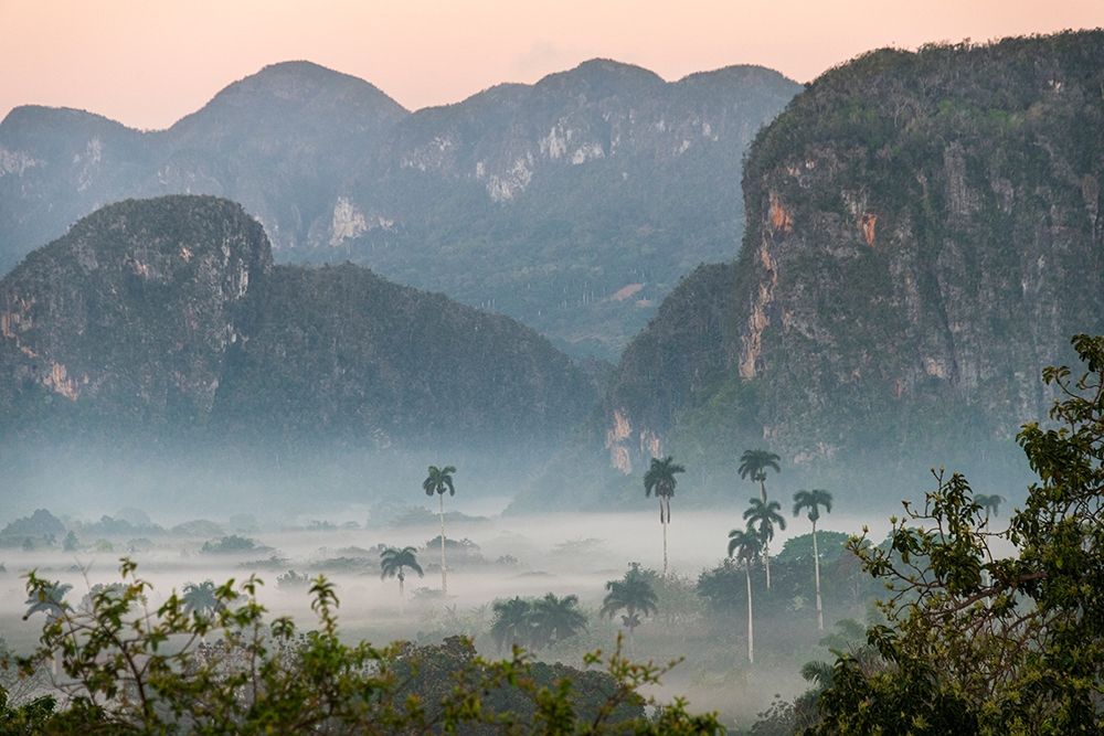 Morning fog rises from the palm tree lined Vinales Valley-Cuba art print by Janis Miglavs for $57.95 CAD